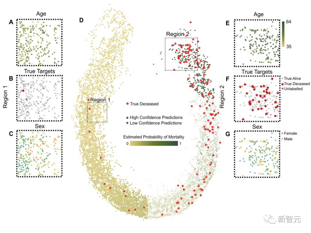 AI测出你几岁死亡？Transformer「算命」登Nature子刊，成功预测意外死亡