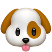 AI Named My Pet