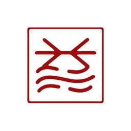 杨泳梁