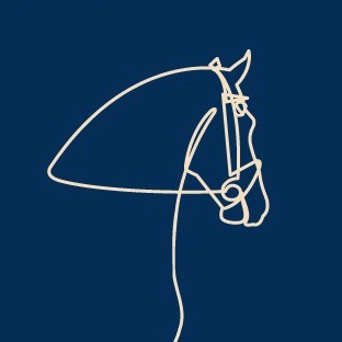 西马画廊 XiMa Gallery